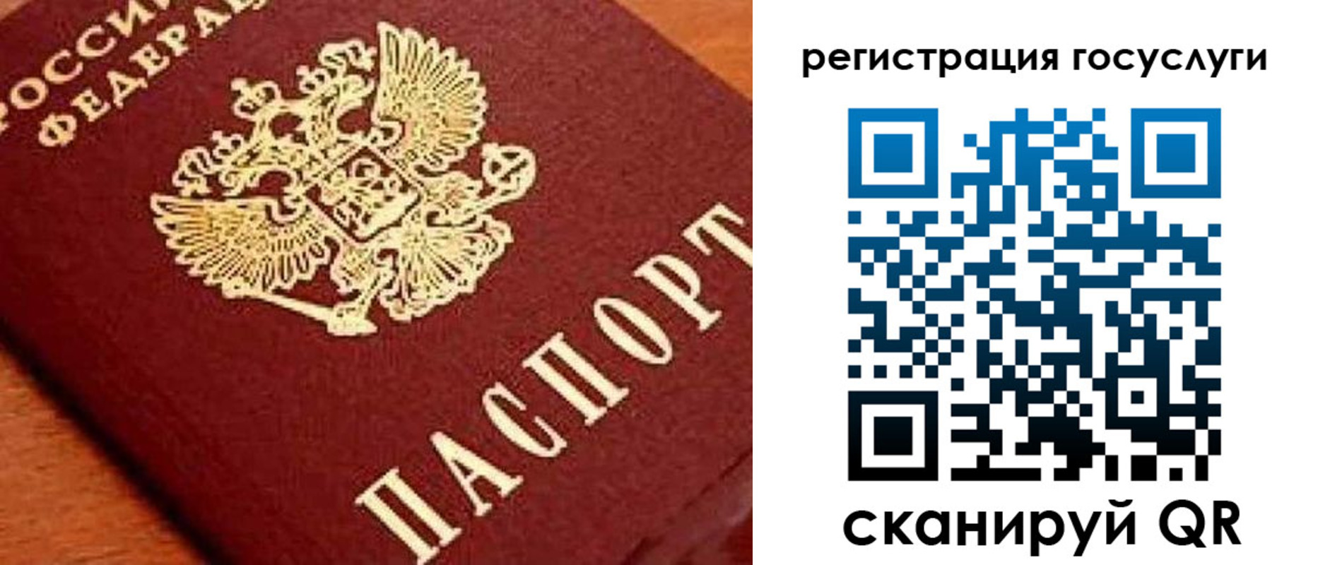 временная регистрация недорого в Лыткарино